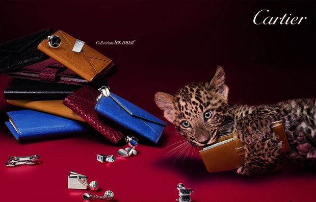 Cartier؁T(mn)(j)ʥQY]