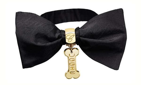 ChopardʒСUggie؄eO(sh)Ӌ(j)W˹I(lng)Y(ji)