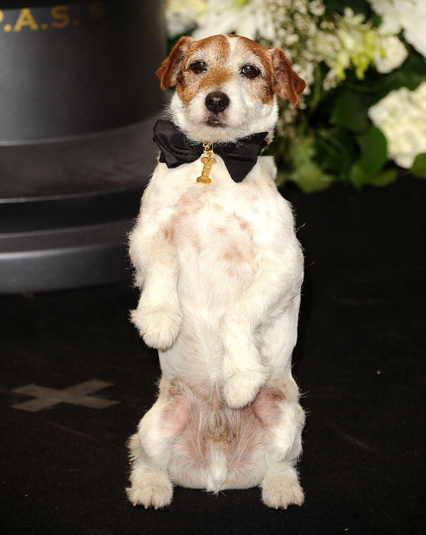 ChopardʒСUggie؄eO(sh)Ӌ(j)W˹I(lng)Y(ji)