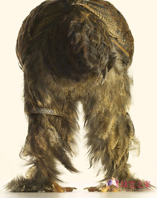 Peter Lippmannëϵ錚AƬ