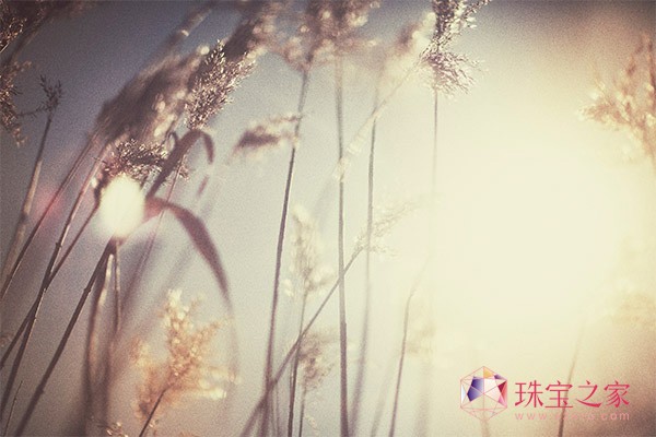 Ƞ˹@ʯ錚(yng)貫I(xin)Y